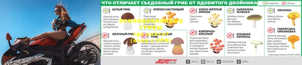 ешки Армянск