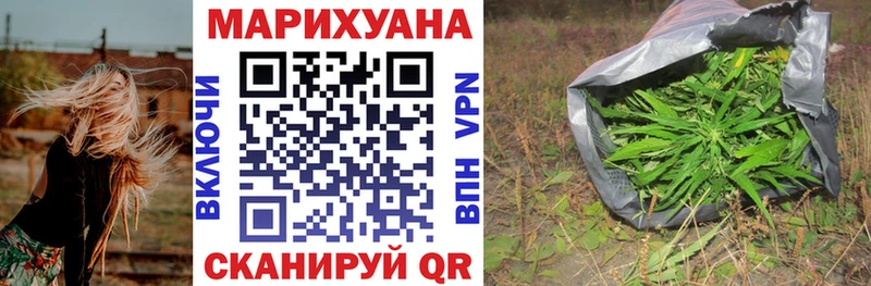 Купить где  Минусинск  Канабис OG Kush 